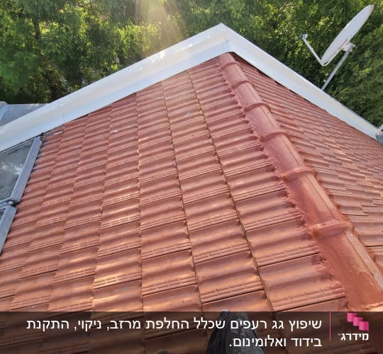 גג רעפים חום עם אנטנה בצד ימין